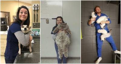15 ветеринаров, которым просто нужно было показать своих самых очаровательных пациентов - cpykami.ru