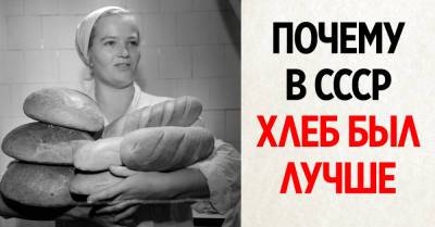 Почему советский хлеб был вкуснее того, что мы берем в магазинах - takprosto.cc