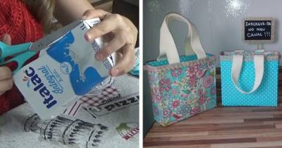 Девушка нашла отличный способ использовать коробки от молока - cpykami.ru
