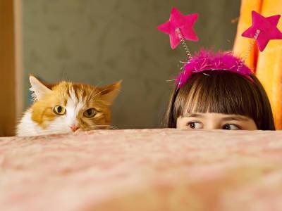Опасности для кошки в квартире: на что обратить внимание? - shkolazhizni.ru