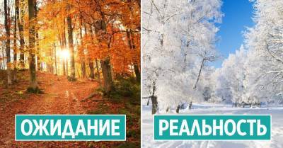 Синоптики серьезно настроены, осень будет беспощадно холодной - takprosto.cc - Россия - Украина