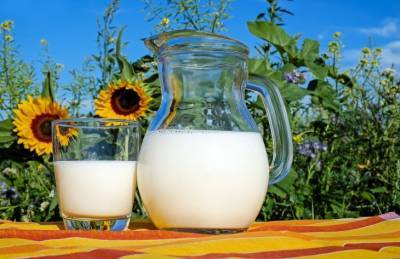 Какие 6 лайфхаков с молоком могут пригодиться каждому - belnovosti.by