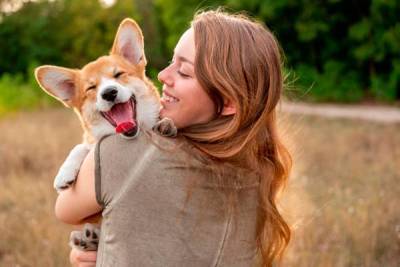 5 способов сделать жизнь вашей собаки дольше и счастливее - garmoniazhizni.com