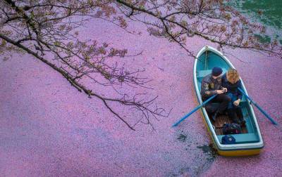 Цветение сакуры выглядит настолько волшебно, что его легко спутать с кадрами из диснеевского мультфильма - flytothesky.ru - Токио
