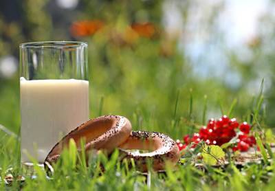 Как приготовить топленое молоко в домашних условиях? - shkolazhizni.ru