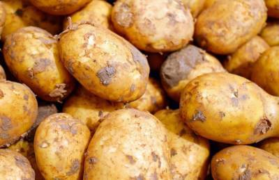 Где и как в быту использовать картофельные очистки: о чем не знают хозяйки - belnovosti.by