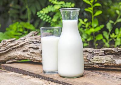 В чем польза молока для здоровья, красоты и приготовления пищи? - shkolazhizni.ru