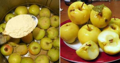 Пора квасить: надежный рецепт для заготовки яблок на зиму - takprosto.cc