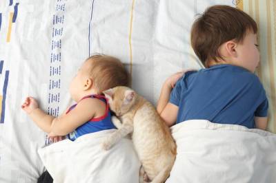 Русские народные колыбельные: какие животные навещали малышей перед сном? - shkolazhizni.ru