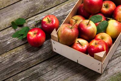 Как хранить свежие яблоки? - shkolazhizni.ru