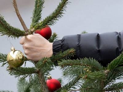 Как убрать ёлку после Нового года и не растерять по полу иголки? - nashsovetik.ru