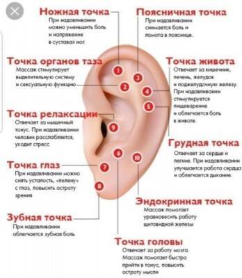 Точки на ушах, которые помогут снять боль и быть здоровым - polsov.com