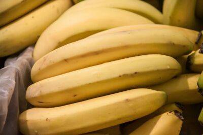 Почему не стоит выбрасывать банановую кожуру: 6 способов применения - belnovosti.by