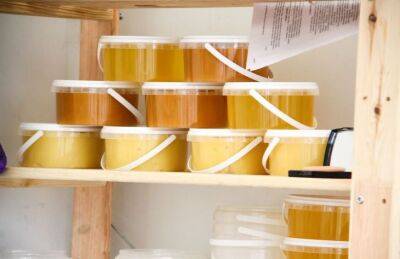 Как сохранить мед надолго в домашних условиях - belnovosti.by