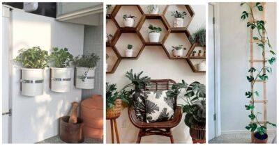 Креативные и современные идеи декора стен комнатными растениями, которые вы можете повторить. Преобразите любую пустую стену - cpykami.ru