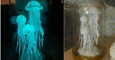 Супер оригинальный декор для дома — светящиеся медузы, которые украсят интерьер - cpykami.ru
