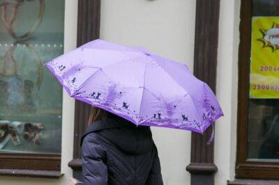 Как правильно ухаживать за зонтом: многие неправильно его сушат - belnovosti.by