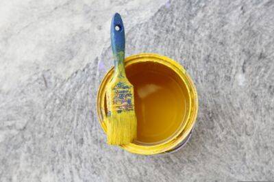 Как очистить кисти от масляной краски - belnovosti.by