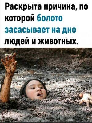 Как болото засасывает на дно - polsov.com