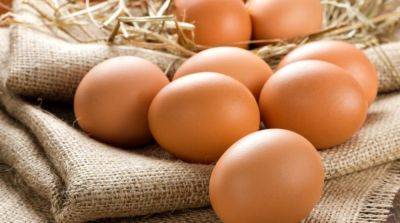 Как определить категории яиц? - rus.delfi.lv