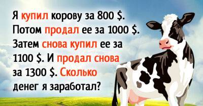 Задача о мудром мужчине, который покупал и продавал корову, для тех, кто хочет проверить свою сообразительность - takprosto.cc