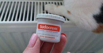 Свекровь прислала из Голландии «Судокрем», чудо-крем заменяет половину аптечки и косметички - takprosto.cc - Голландия