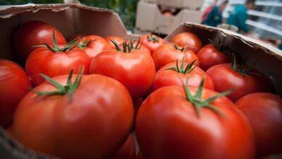 Как сделать безвкусные магазинные помидоры вкусными: 3 варианта решения проблемы - nashsovetik.ru