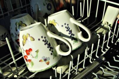 Игорь Зур - Почему посудомоечная машина стала хуже мыть посуду: 3 совета по решению проблемы - belnovosti.by