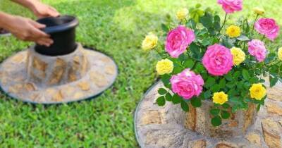 Идеальная огороженная мини-клумба для роз. Красота на участке за копейки - cpykami.ru