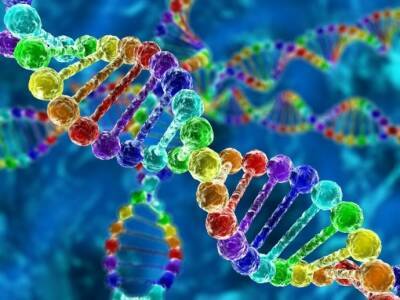 Чего мы не знали о ДНК и что может изменить нашу жизнь - polsov.com - Нью-Йорк