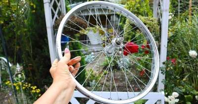 Дачница нашла старенькое велосипедное колесо и придумала ему отличное применение - cpykami.ru
