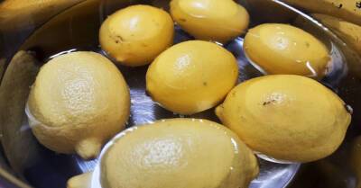Запасливая хозяйка сушит лимоны килограммами, хотя они есть в магазине круглый год, объясняем, для чего - takprosto.cc