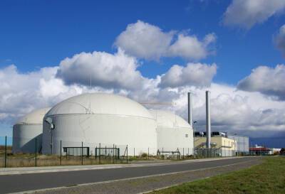 Что такое биогаз и почему он — «зеленое топливо»? - shkolazhizni.ru