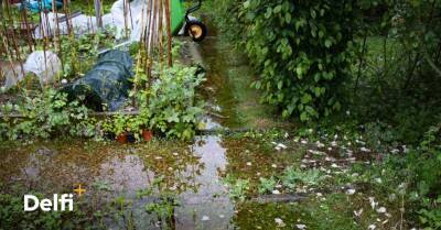 Затопило участок после дождя: что делать и как этого не допустить? - rus.delfi.lv