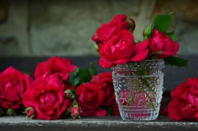Игорь Зур - Что нужно добавить в воду, чтобы розы дольше стояли: секрет всем женщинам - belnovosti.by