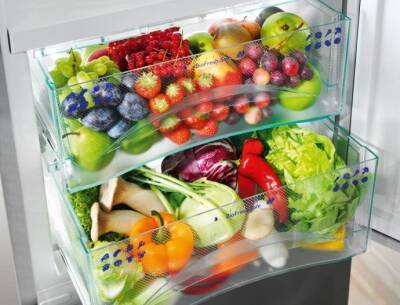 ​Общие принципы хранения овощей в холодильнике - polsov.com