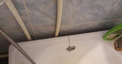 3 способа избавиться от щели между стеной и ванной, чтобы не разводить сырость и не заливать соседей - novate.ru