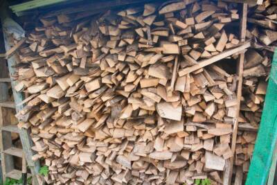 Ольга Котова - Что сделать, чтобы охапка дров горела в 3 раза дольше: дрова экономятся до 60% - belnovosti.by