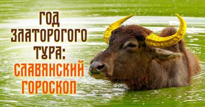 Новый год по славянскому календарю начнется 20 марта, наступит время Златорогого Тура, для каждого есть особое послание - takprosto.cc - Кострома