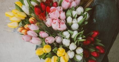 Восемь секретов, как сохранить тюльпаны в вазе до 10 дней - rus.delfi.lv