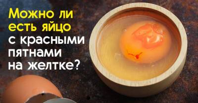 Обнаружила в сыром яйце красное пятнышко, боюсь его есть, звоню свекрови получить совет - takprosto.cc