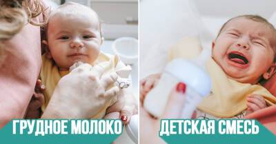Плюсы естественного кормления младенца - takprosto.cc