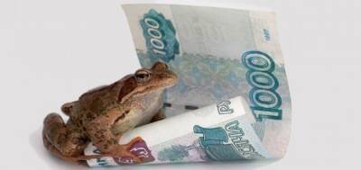 Проверенные денежные приметы - polsov.com
