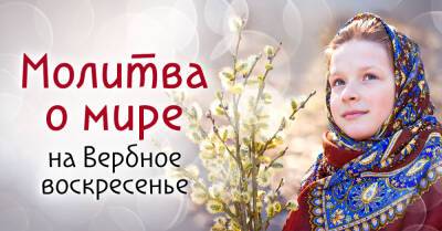 Самые сильные молитвы о мире, которые можно и нужно прочесть в Вербное воскресенье - takprosto.cc - Россия - Украина - Иерусалим