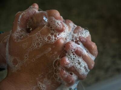 Обязательно ли мыть руки перед едой? Об одном несостоявшемся международном скандале - shkolazhizni.ru