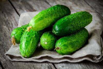 ​Если огурчики горчат - polsov.com