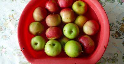 Чтобы моченые яблоки получились как в детстве, в рассол добавляю мёд и гвоздику - takprosto.cc