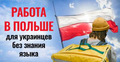 На какую работу в Польше может устроиться украинец, не зная языка - takprosto.cc - Украина - Польша