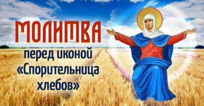 Вера - В чём помогает икона «Спорительница хлебов», признанная чудотворной - takprosto.cc