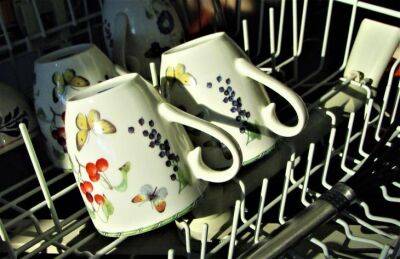 Марин Михалап - Неприятный запах в посудомоечной машине: какие простые способы помогут справиться с проблемой - belnovosti.by